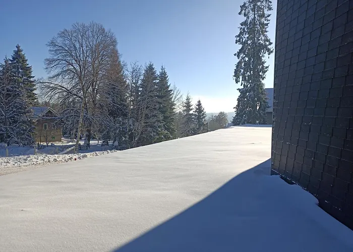 In Het Sportgebied Lägenhet